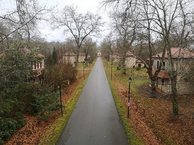 Allée du centenaire