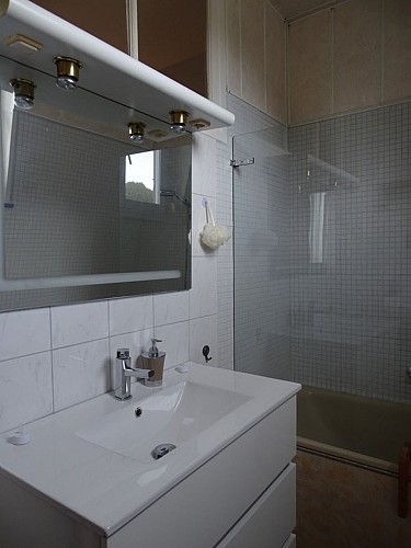 salle de bain donnant sur chambre (3)