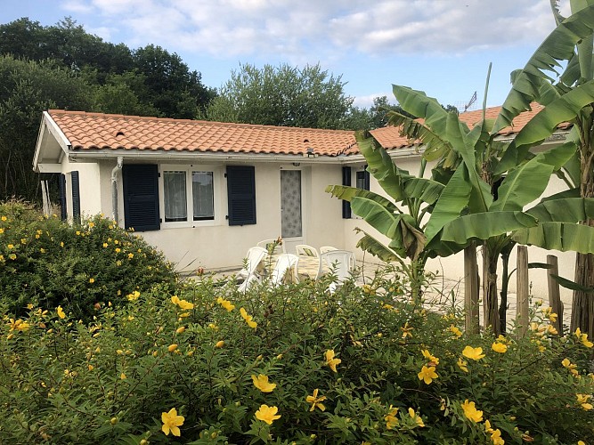 Maison avec Millepertuis - Saubusse - OTI LAS