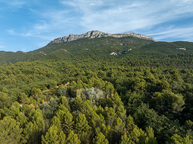 Mont Aurélien, côté Pourcieux