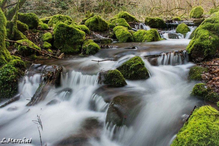 Cascade du Nideck