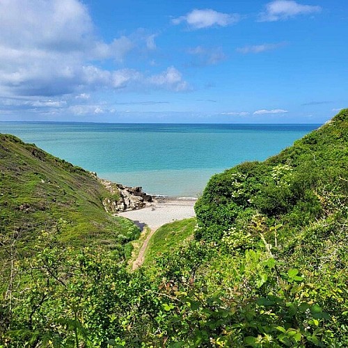 carolles-meuble-brunois-5