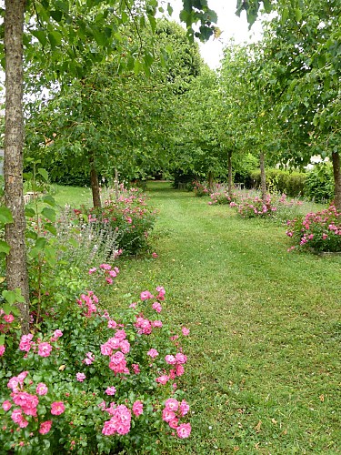 Gîte des Hellébores - Extérieur