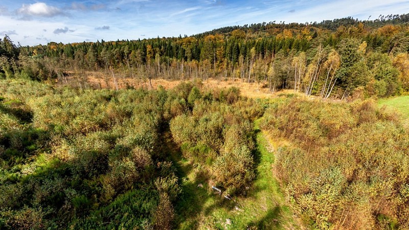 Tourbière de la Basse Saint-Jean
