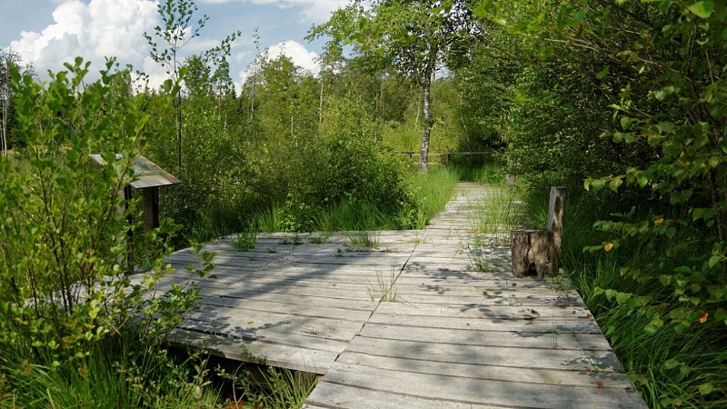 Tourbière de la Basse Saint-Jean