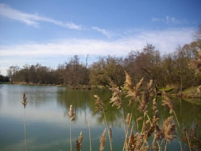 Sensitive natural space of the plain