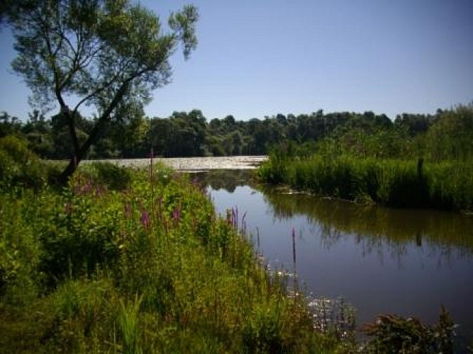 Gevoellig natuurgebied van de plain