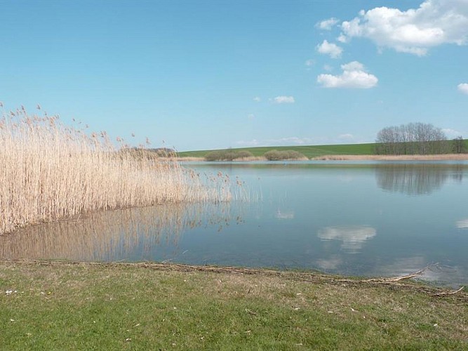 NATURSCHUTZGEBIET ETANG DE PARROY