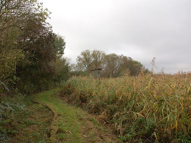 NATURSCHUTZGEBIET ETANG DE PARROY