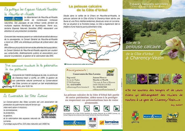 Pelouse calcaire de charency vezin