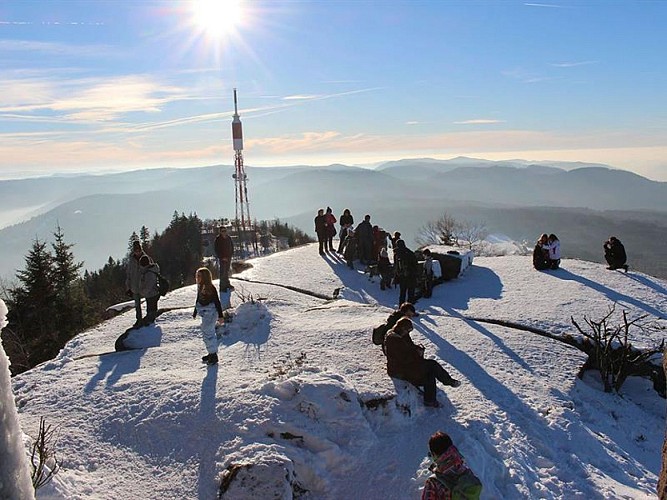 WALDMASSIV DES DONON