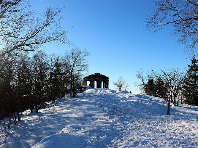 WALDMASSIV DES DONON