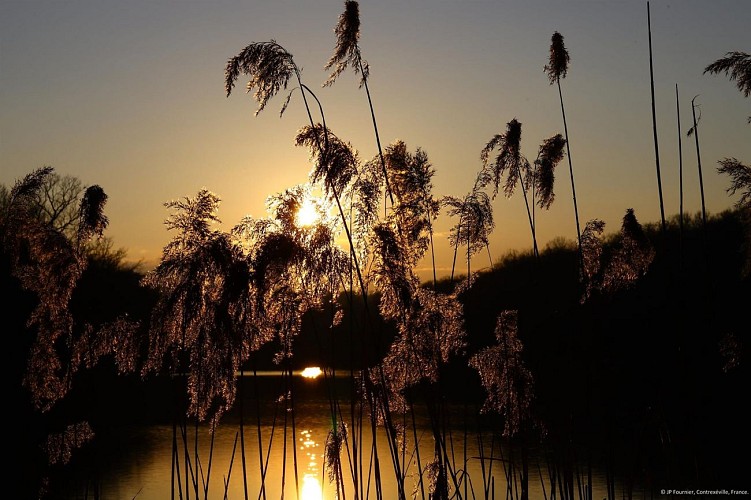 Site des Lacs de la Folie