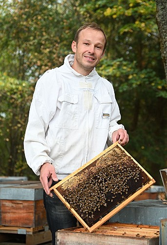 Rucher des Hautes Vosges - Bertrand Noël