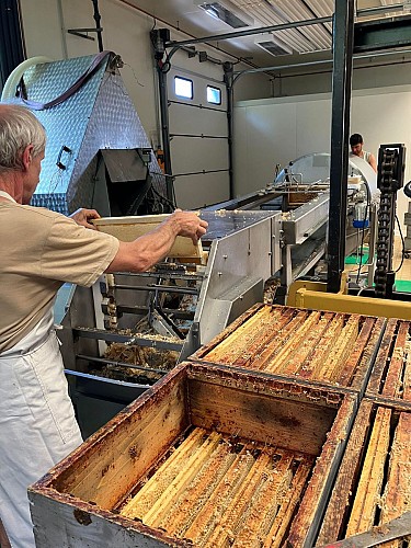 Rucher des Hautes Vosges - Bertrand Noël