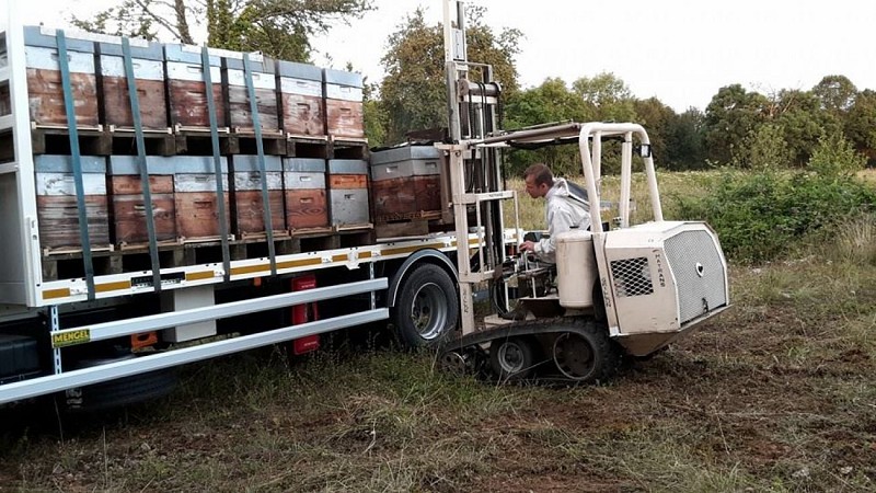 Rucher des Hautes Vosges - Bertrand Noël