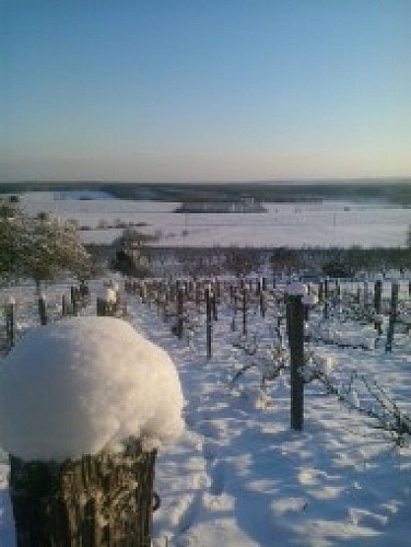 BAUERNHÖFEN SAINTE CLAIRE