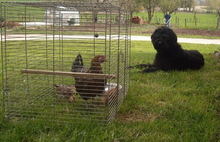 BAUERNHÖFEN SAINTE CLAIRE