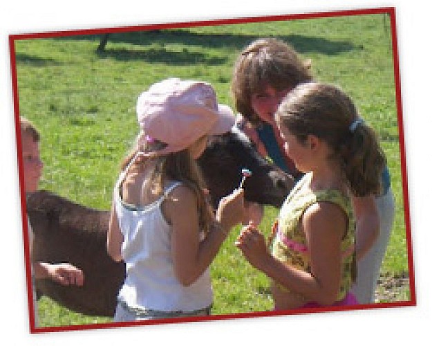 Sainte claire's farm