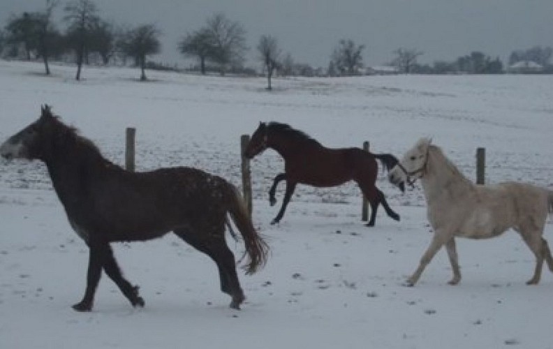 Sainte claire's farm