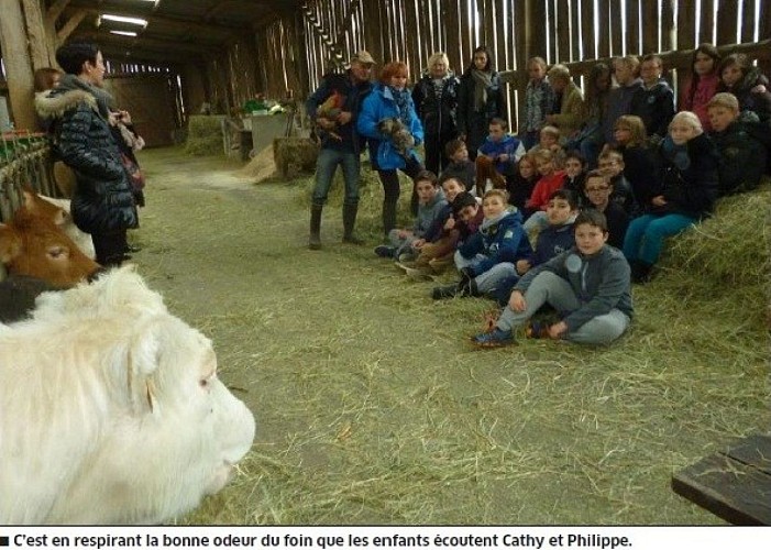 Sainte claire's farm