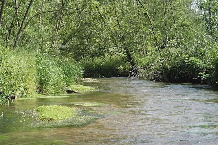 Pêche le Roseau de la Haute Vezouze