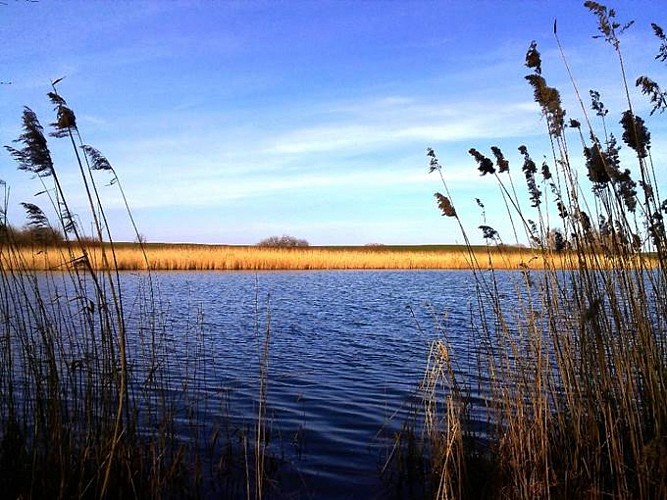 Peche la carache lunevilloise