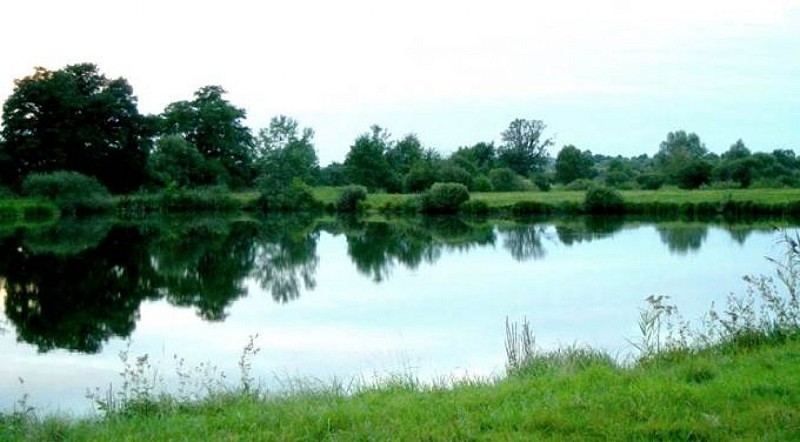 Pêche aux étangs fédéraux rené boury