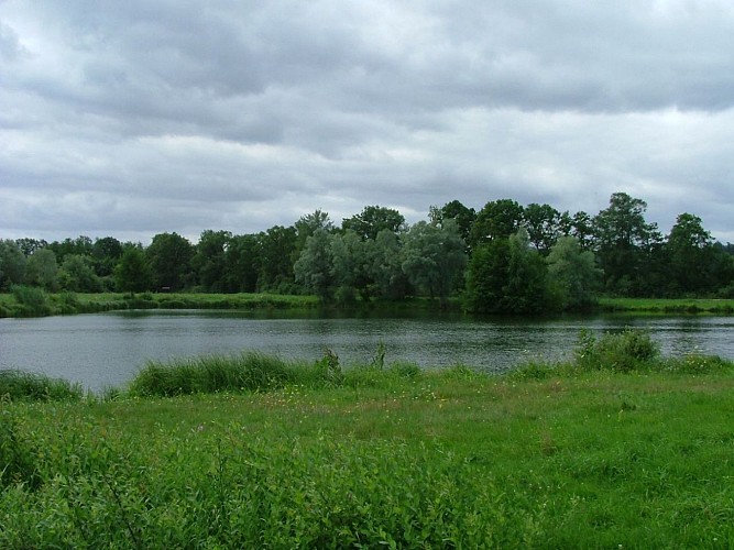 Pêche aux etangs federaux rene boury