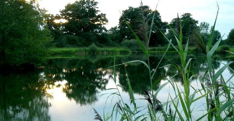 Pêche aux etangs federaux rene boury