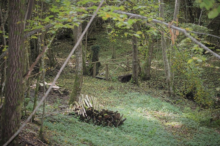 Arboretum de Vathiménil