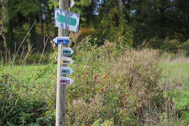 Arboretum de Vathiménil