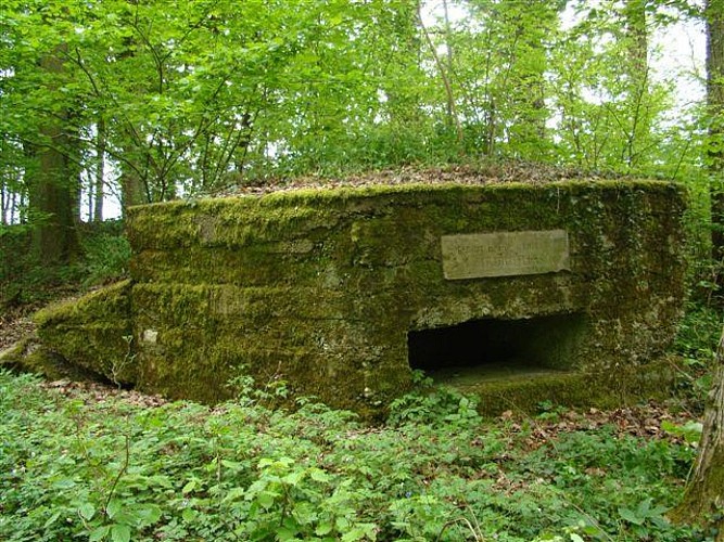 DIE 5 DEUTSCHEN BUNKER IM WALD VON CHAMPCOURT IN XURES