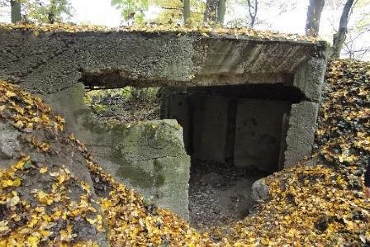 DIE 5 DEUTSCHEN BUNKER IM WALD VON CHAMPCOURT IN XURES