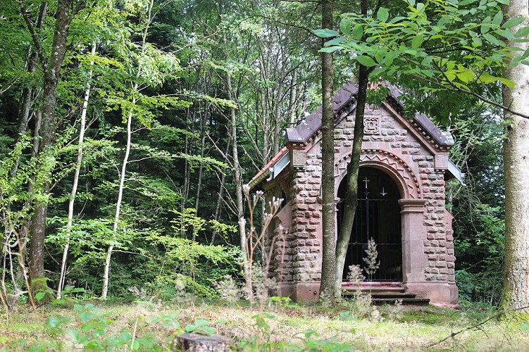SENTIERS DE MEMOIRE DE LA CHAPELOTTE