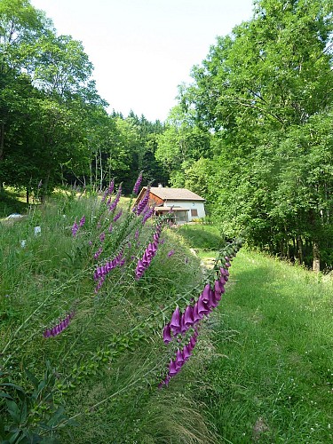 Chalet refuge du Hangochet