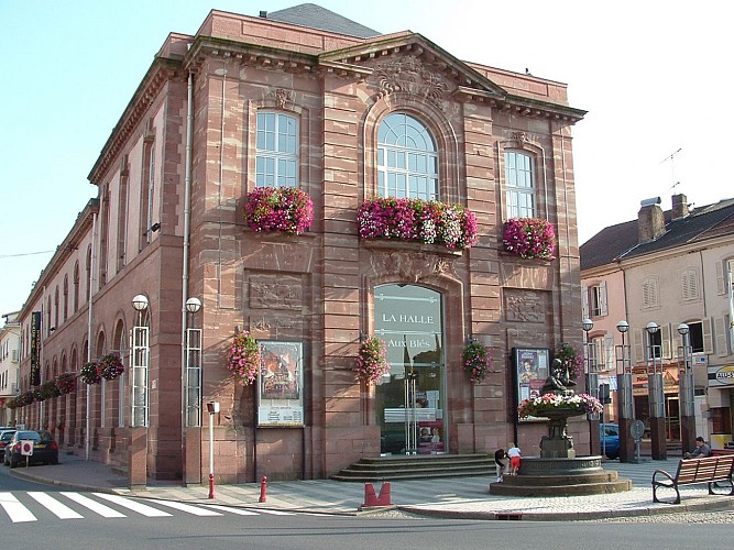 Halle aux bles : cinema and theater