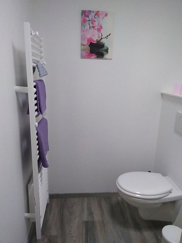 Meublé Levieux - "Frêne"