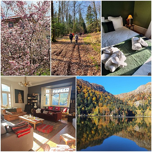 Le Domaine des Haies Saint-Pierre