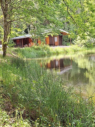 Chalet des Sources de Ger - Waldan