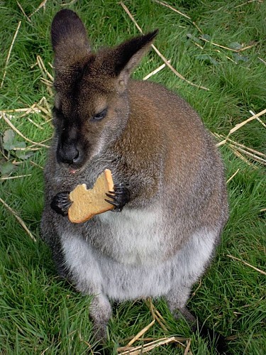 Hôtel-restaurant le Régal