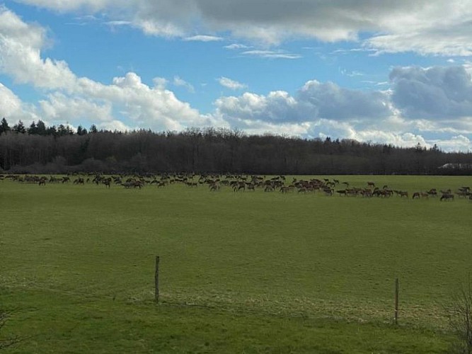 Gîte L'Hotellerie du Brâme
