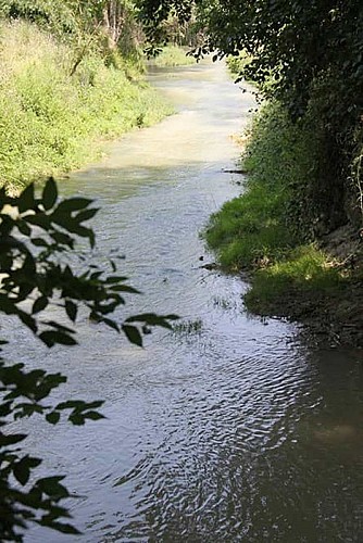 moulin_calbel21_beekje