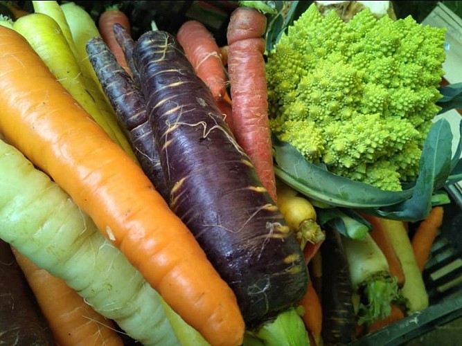 Les P'tits Maraichers Bio