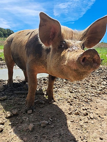 452172618_122163759146183131_2559242770263615447_n