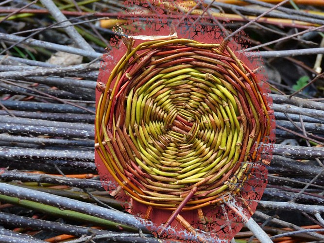 a vannerie sauvage r