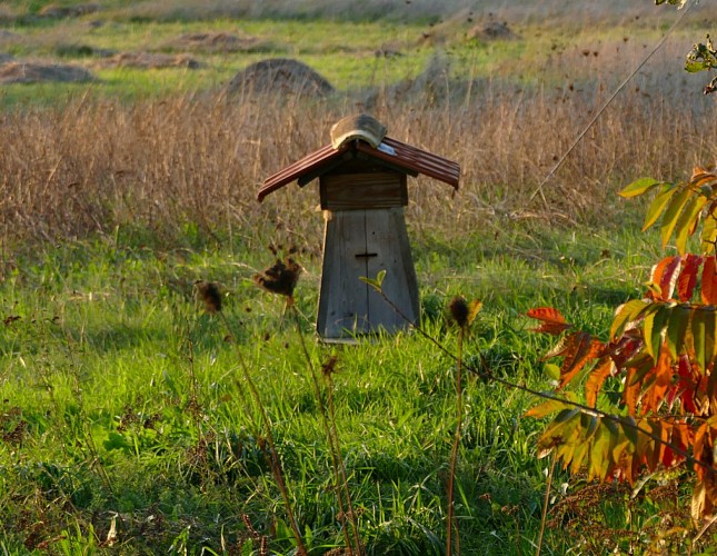Ruche Refuge