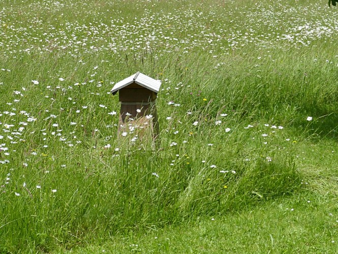 Ruche refuge