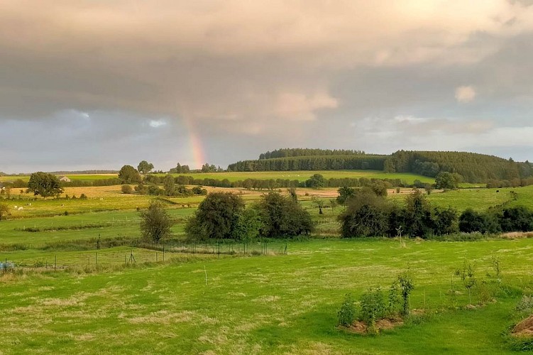 IMG20210828195148 oasis d'yza