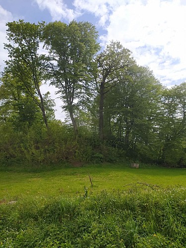 Motte féodale_04_2024-1